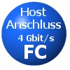 4 Gbit/s Fibre Channel Host