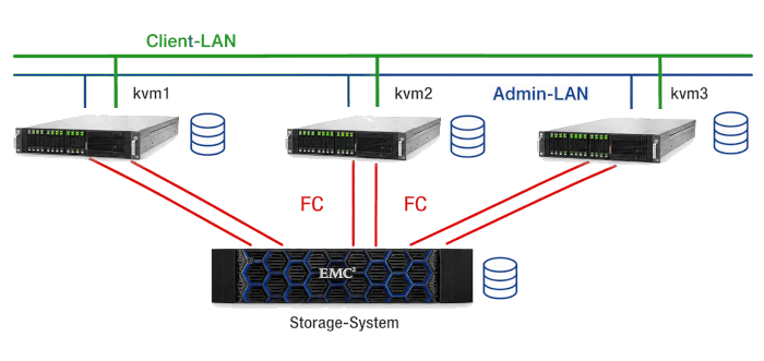 Direct Attached Storage DAS System bei Virtualisierung
