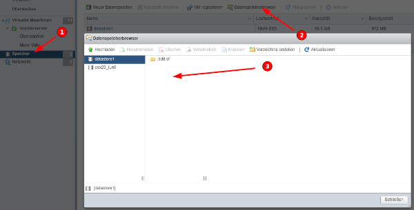 ESXi Databrowser