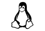 Linux im Unternehmen