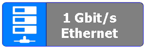 1 Gbit/s Ethernet Host