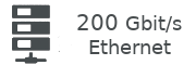 200 Gbit/s Ethernet Host