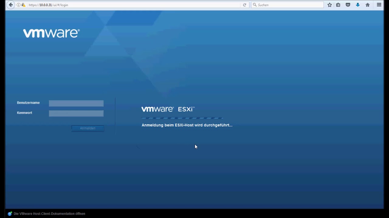 VMware ESXi Web-Console